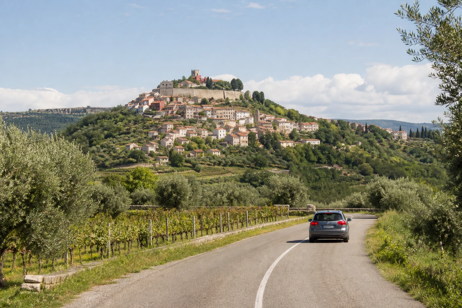 Rental car on a road through Istrian hills and olive groves