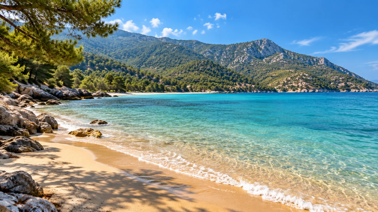 Golden sand and clear water beneath pine-covered mountains