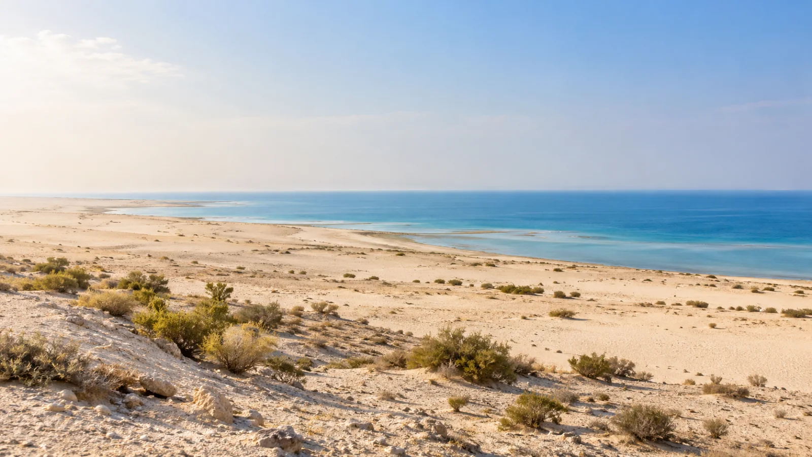 Pale desert and sparse shrubs beside calm Gulf water