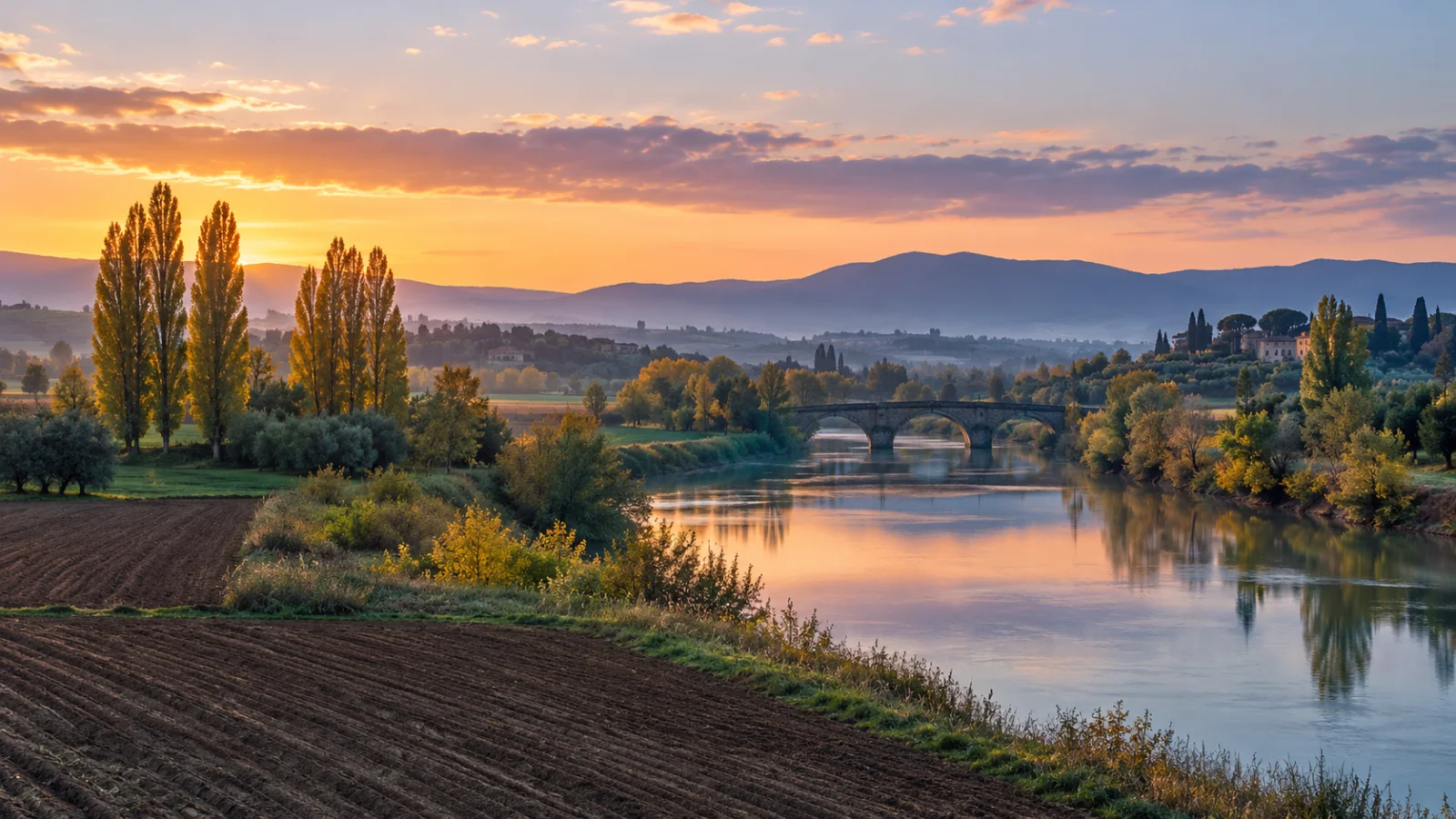 Poplar trees and a stone bridge beside a river at sunrise