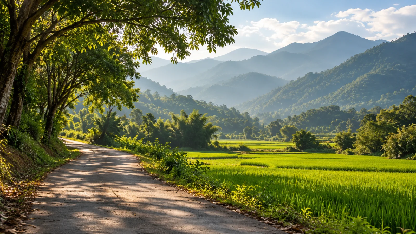 Shaded rural lane beside green fields and hazy wooded hills