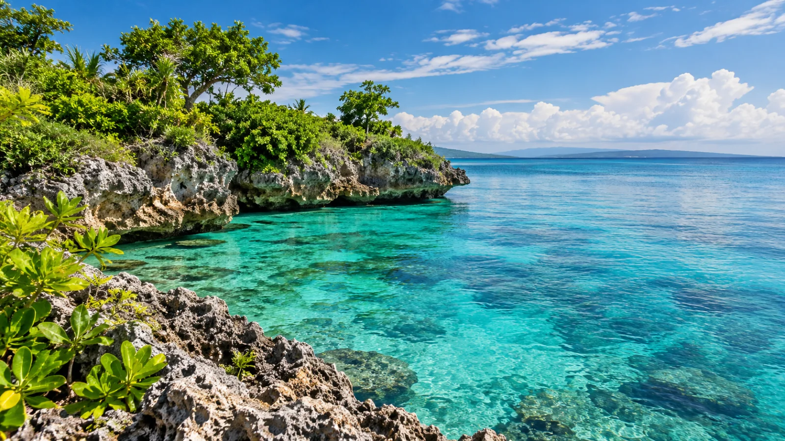 Tropical greenery and pale limestone beside turquoise water