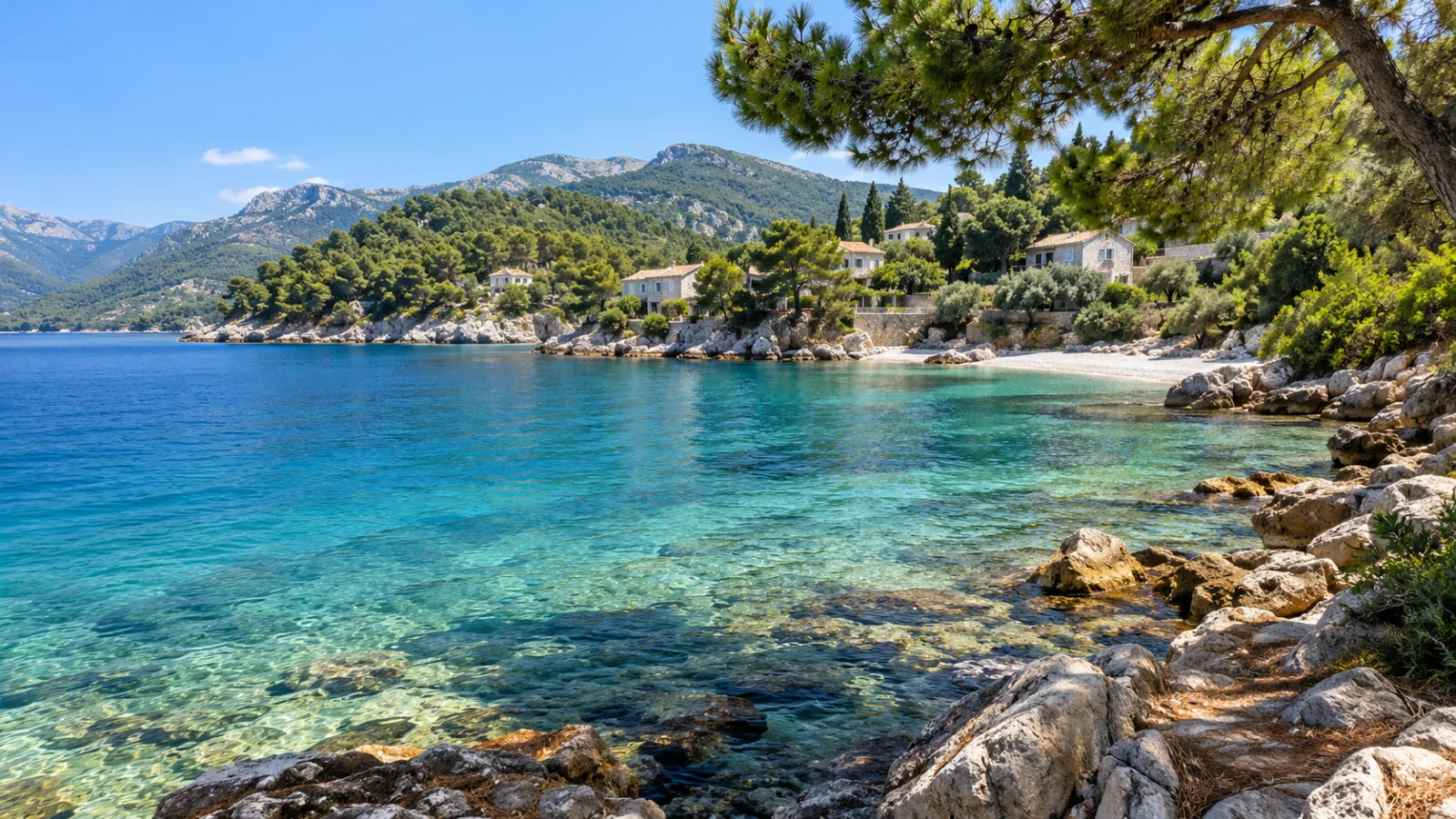 Pine-framed rocky shore and clear water below green hills